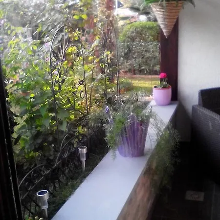 Apartment Poropat