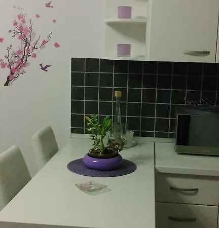 Apartment Poropat Porec