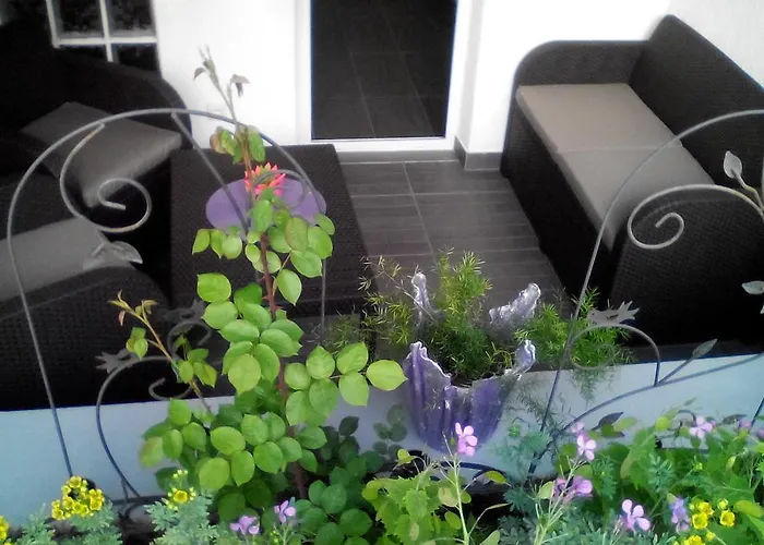 Poropat * بوريتش